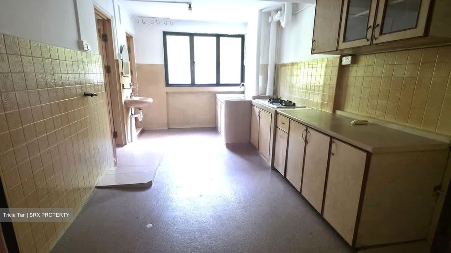 Blk 30 Telok Blangah Rise (Bukit Merah), HDB 3 Rooms #554925291